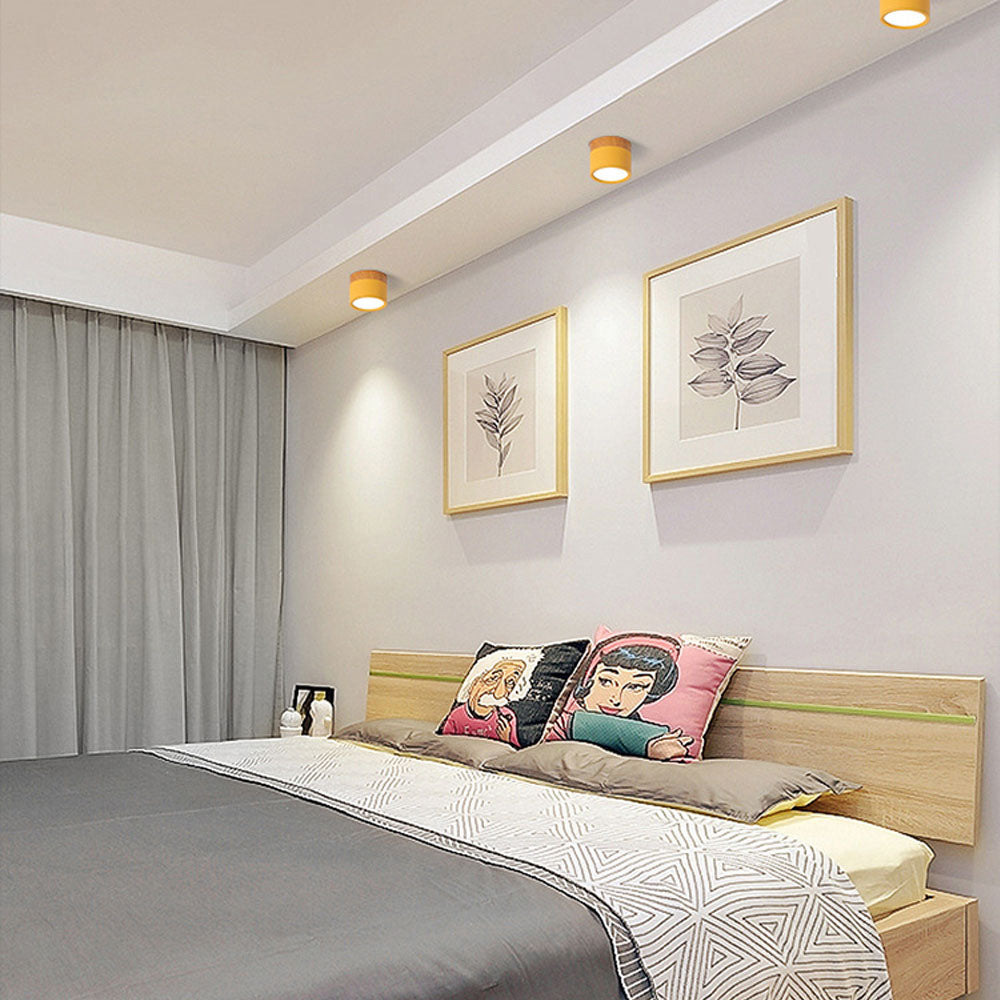 Cylano Small Ceiling Light