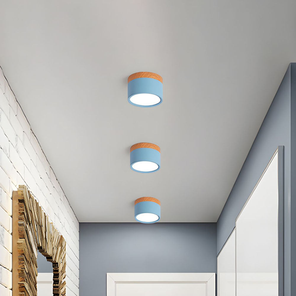 Cylano Small Ceiling Light