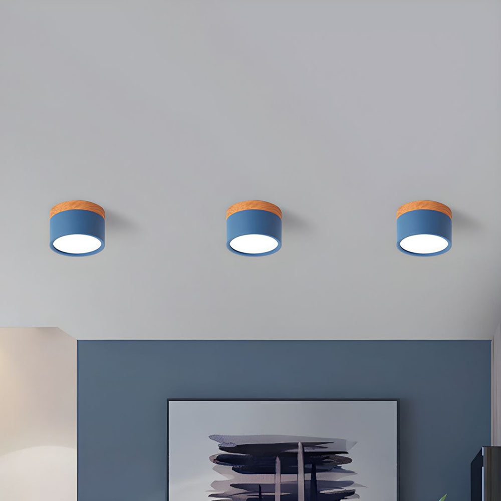 Cylano Small Ceiling Light