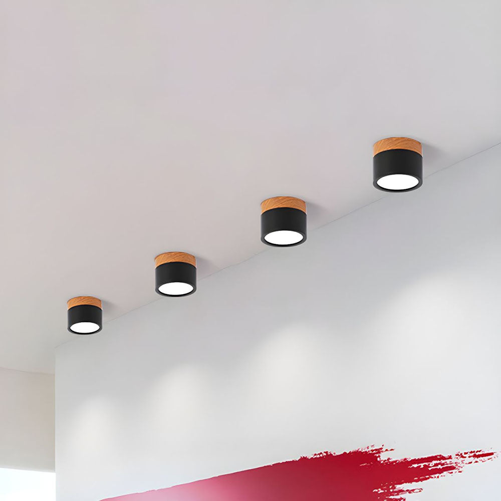 Cylano Small Ceiling Light