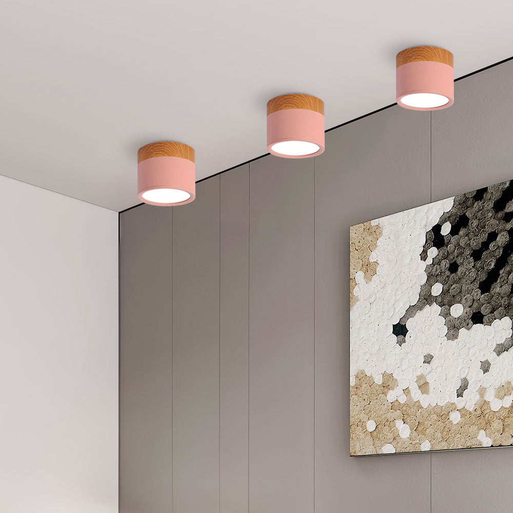 Cylano Small Ceiling Light