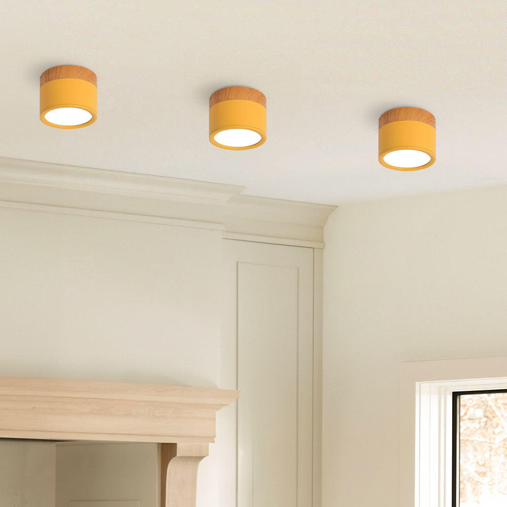 Cylano Small Ceiling Light