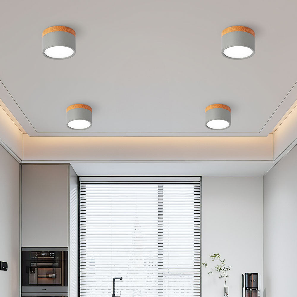 Cylano Small Ceiling Light