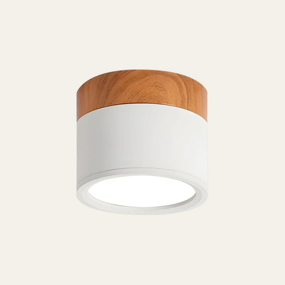 Cylano Small Ceiling Light