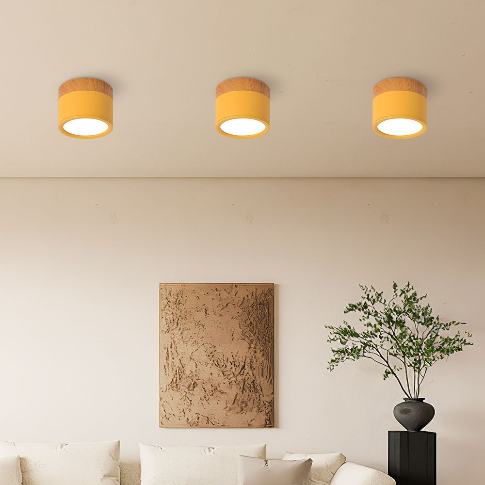 Cylano Small Ceiling Light