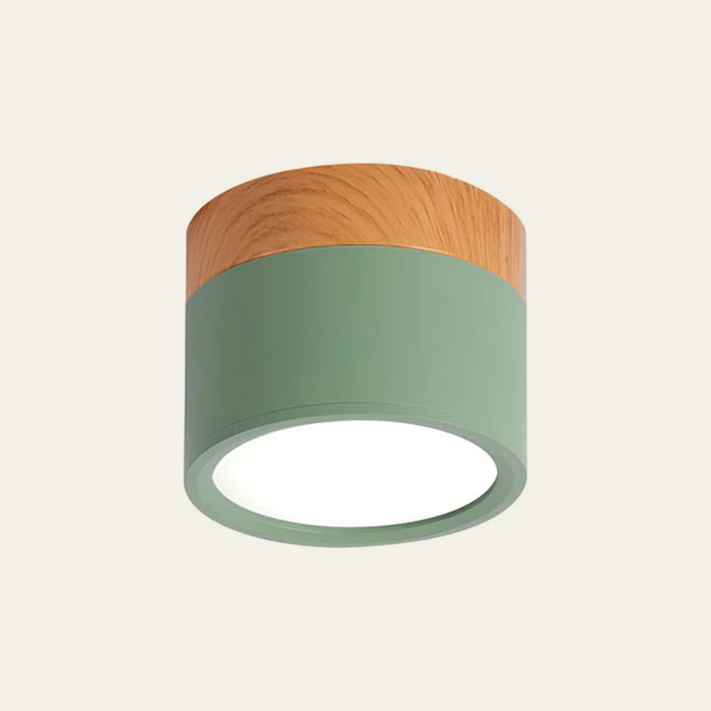Cylano Small Ceiling Light
