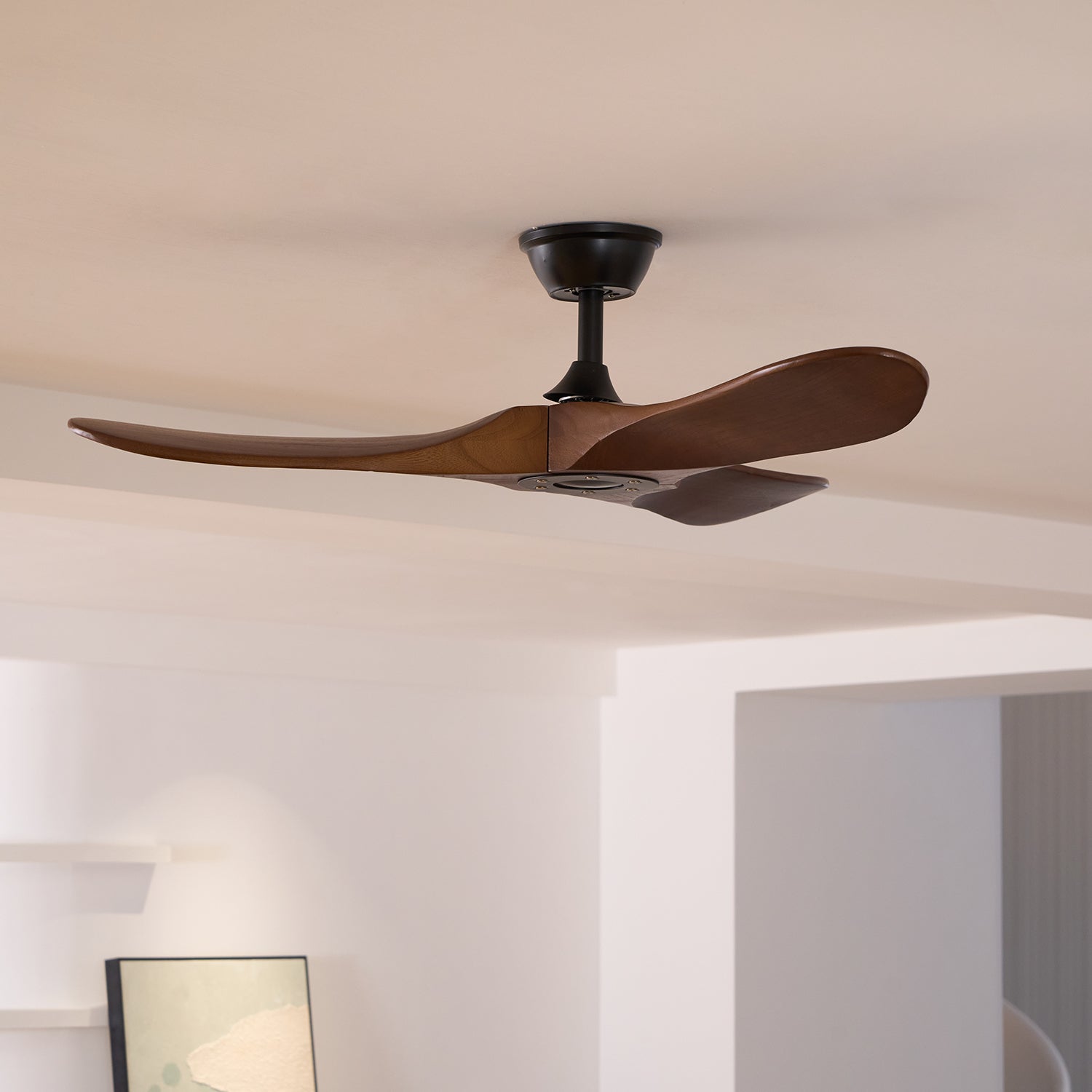 Lenaro Wooden Ceiling Fan
