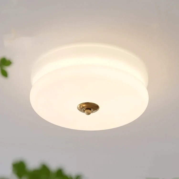 Ardeco Ceiling Light