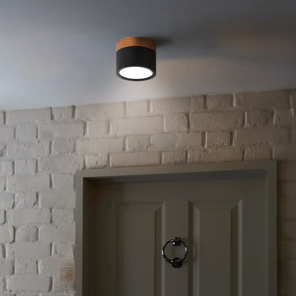 Cylano Small Ceiling Light