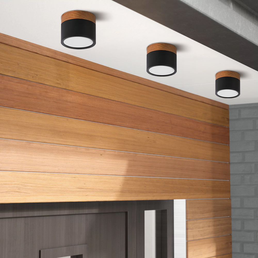 Cylano Small Ceiling Light