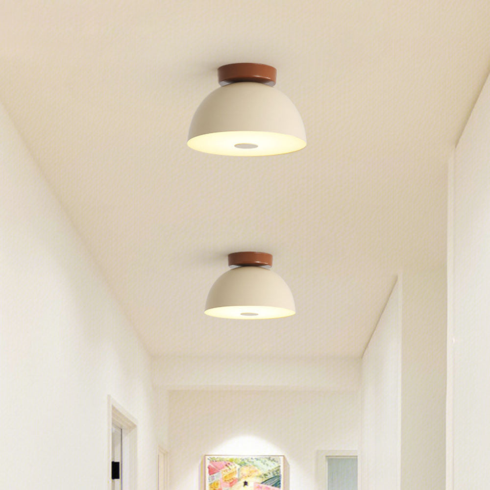 Alvon Ceiling Light