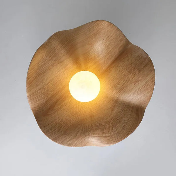 Lotreno Ceiling Light