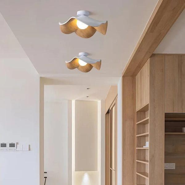 Lotreno Ceiling Light