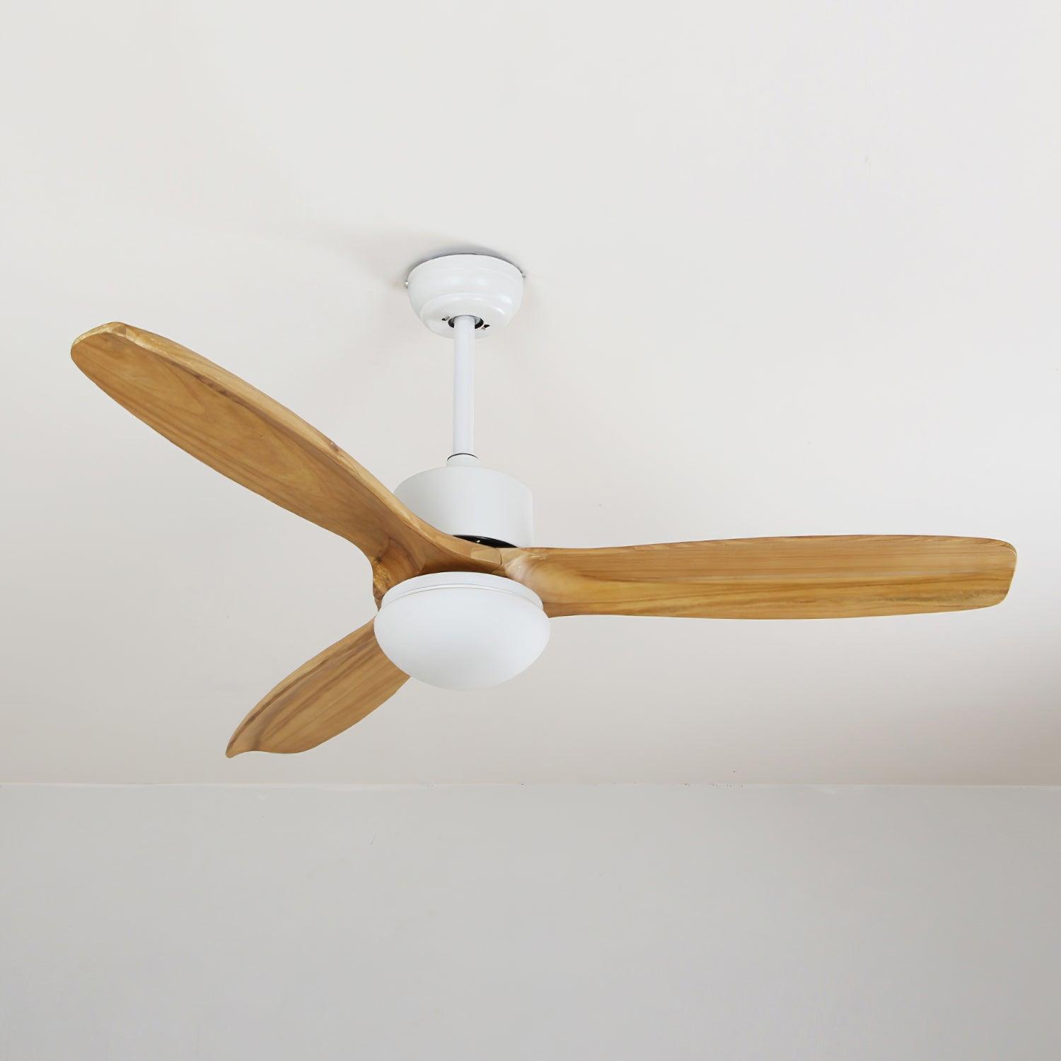 Bardune LED Ceiling Fan