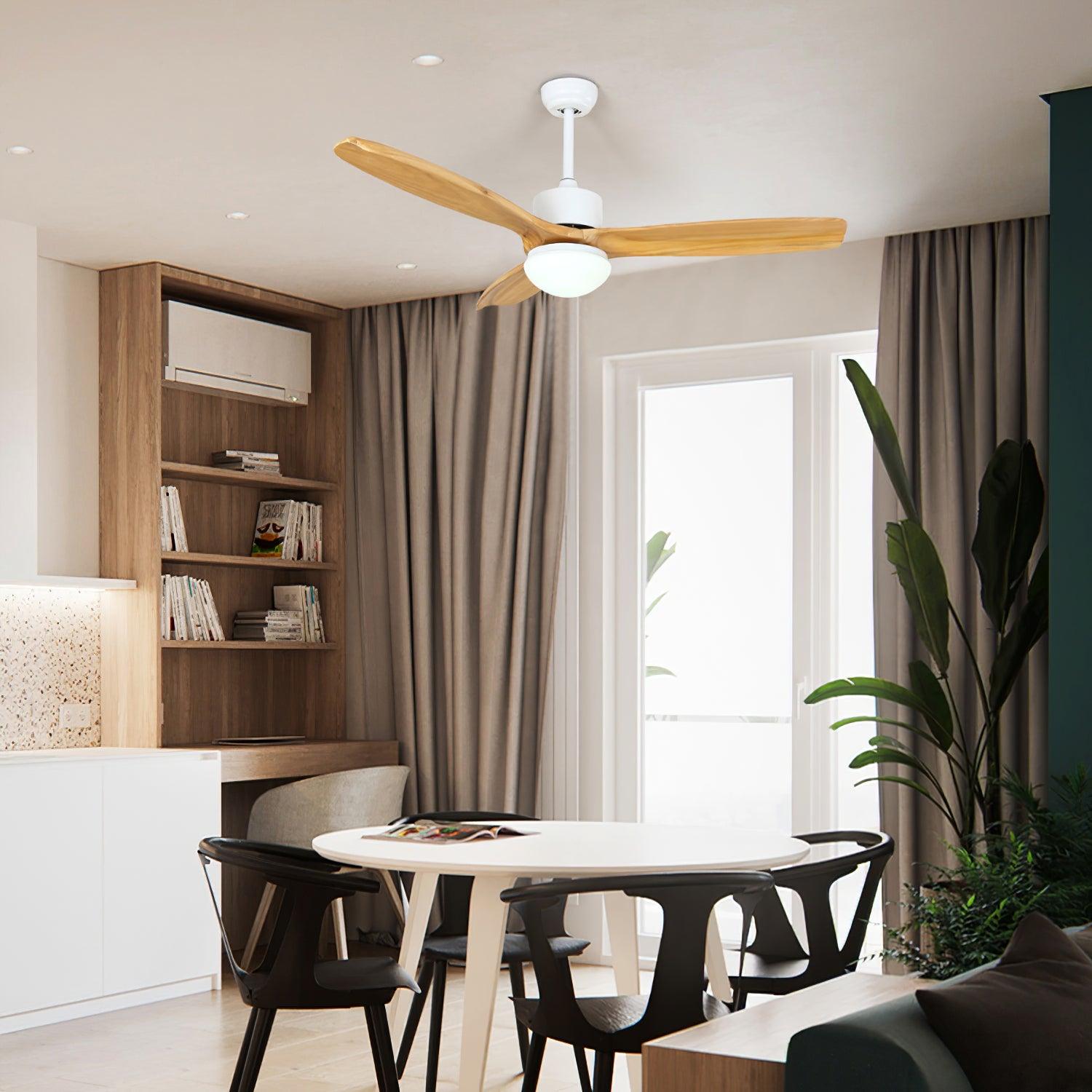 Bardune LED Ceiling Fan