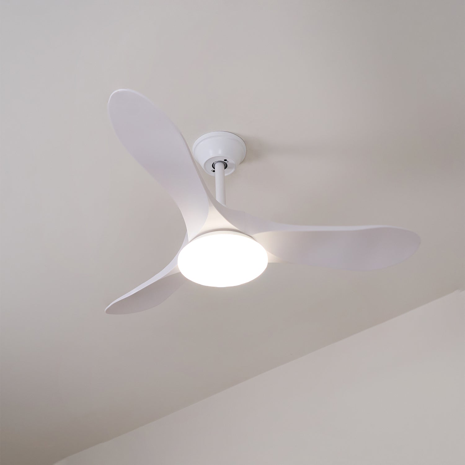 Lamoris LED Ceiling Fan