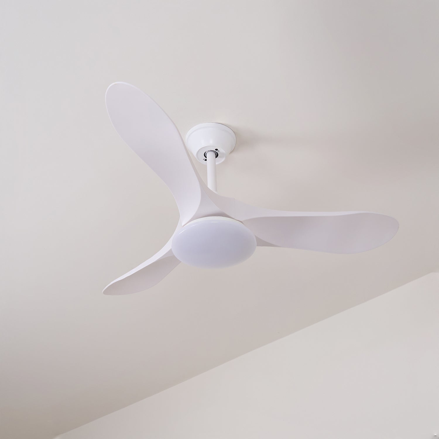 Lamoris LED Ceiling Fan