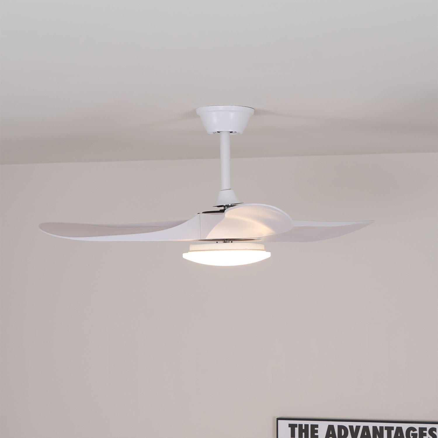 Lamoris LED Ceiling Fan