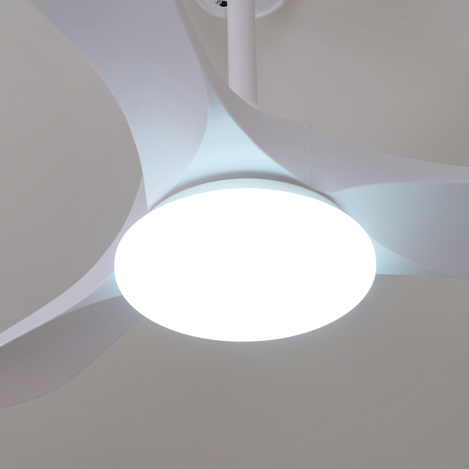 Lamoris LED Ceiling Fan