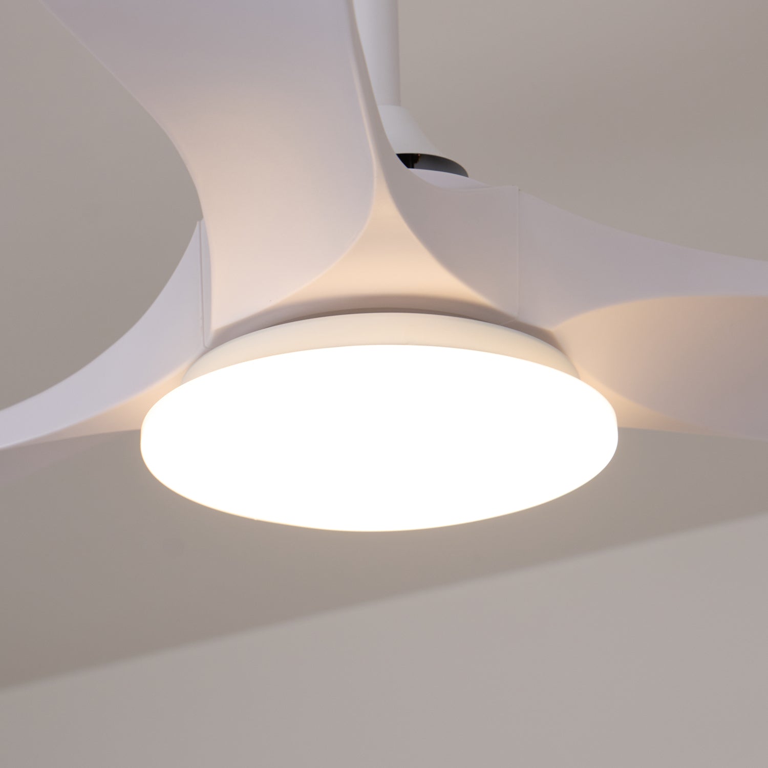 Lamoris LED Ceiling Fan