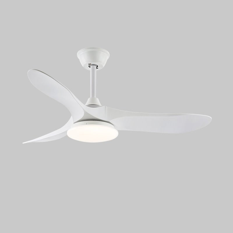 Lamoris LED Ceiling Fan