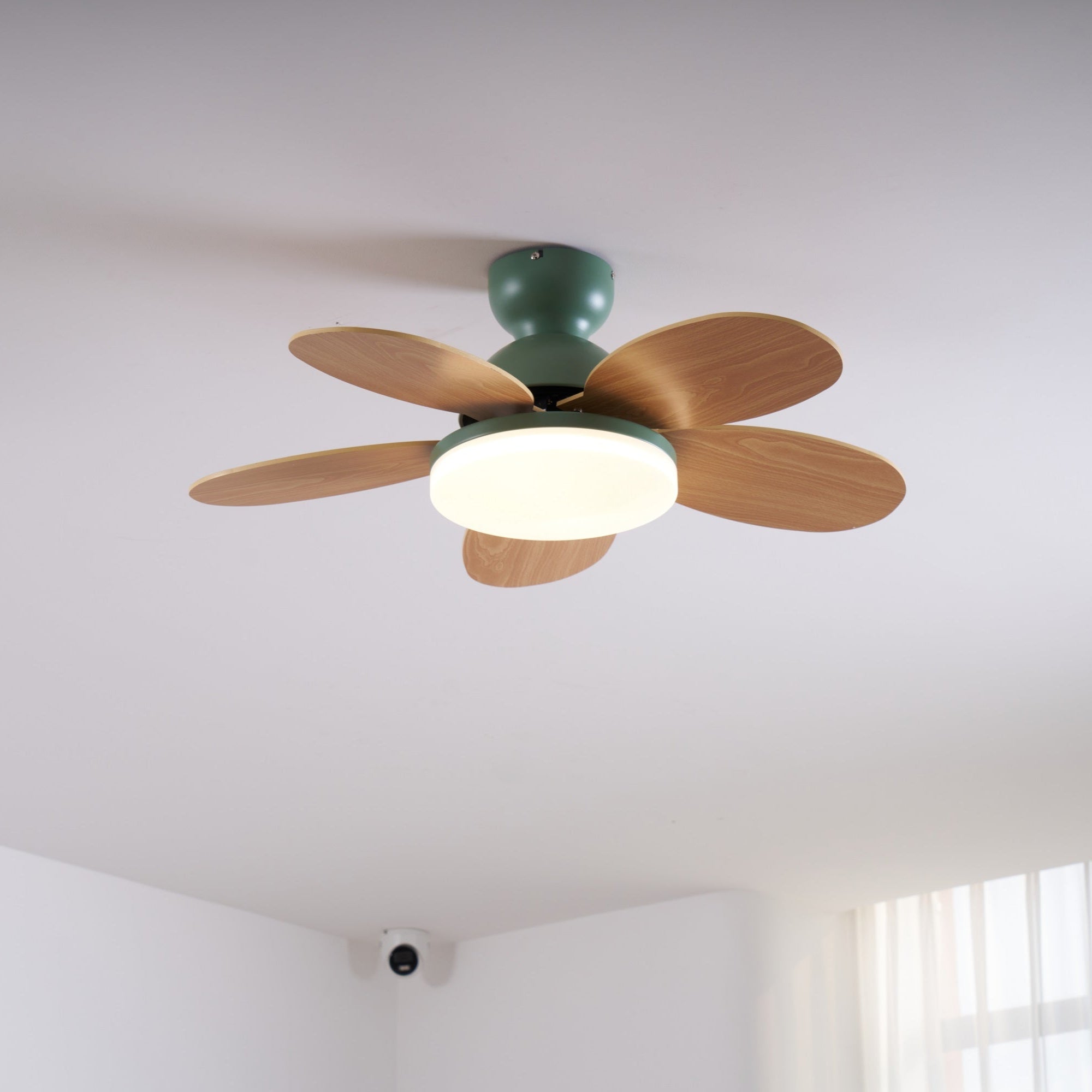 Paledo LED Ceiling Fan