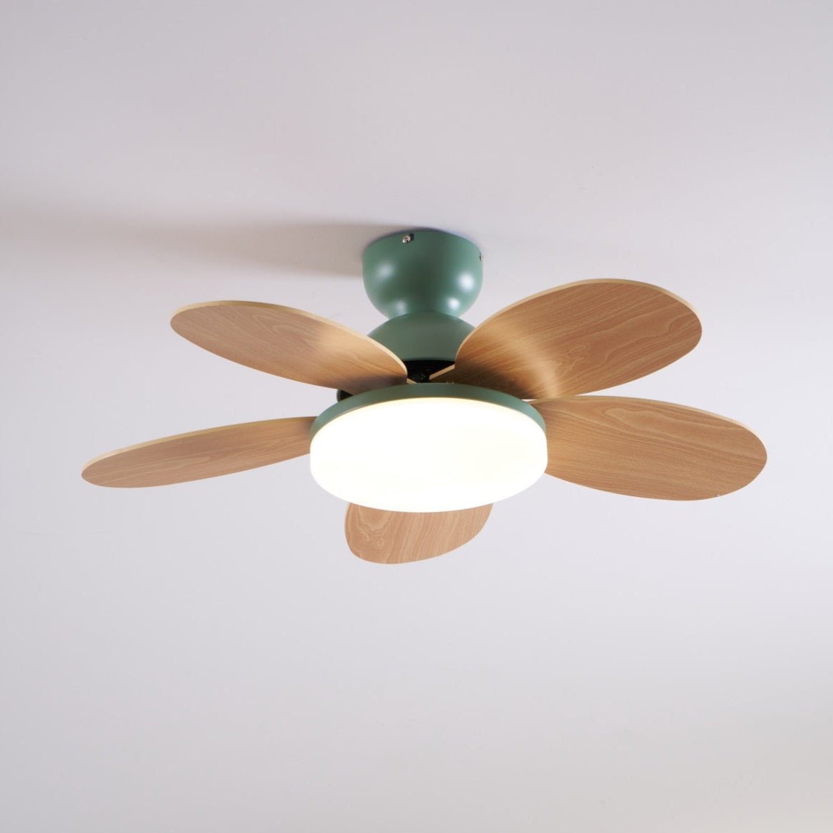 Paledo LED Ceiling Fan