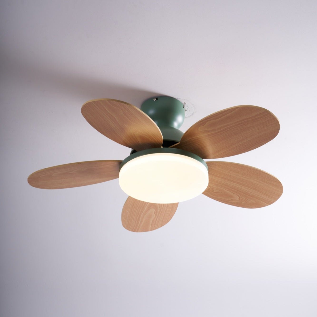 Paledo LED Ceiling Fan