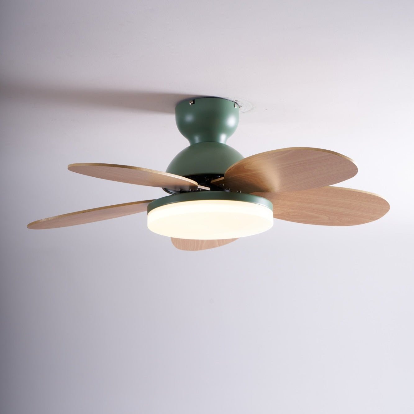 Paledo LED Ceiling Fan
