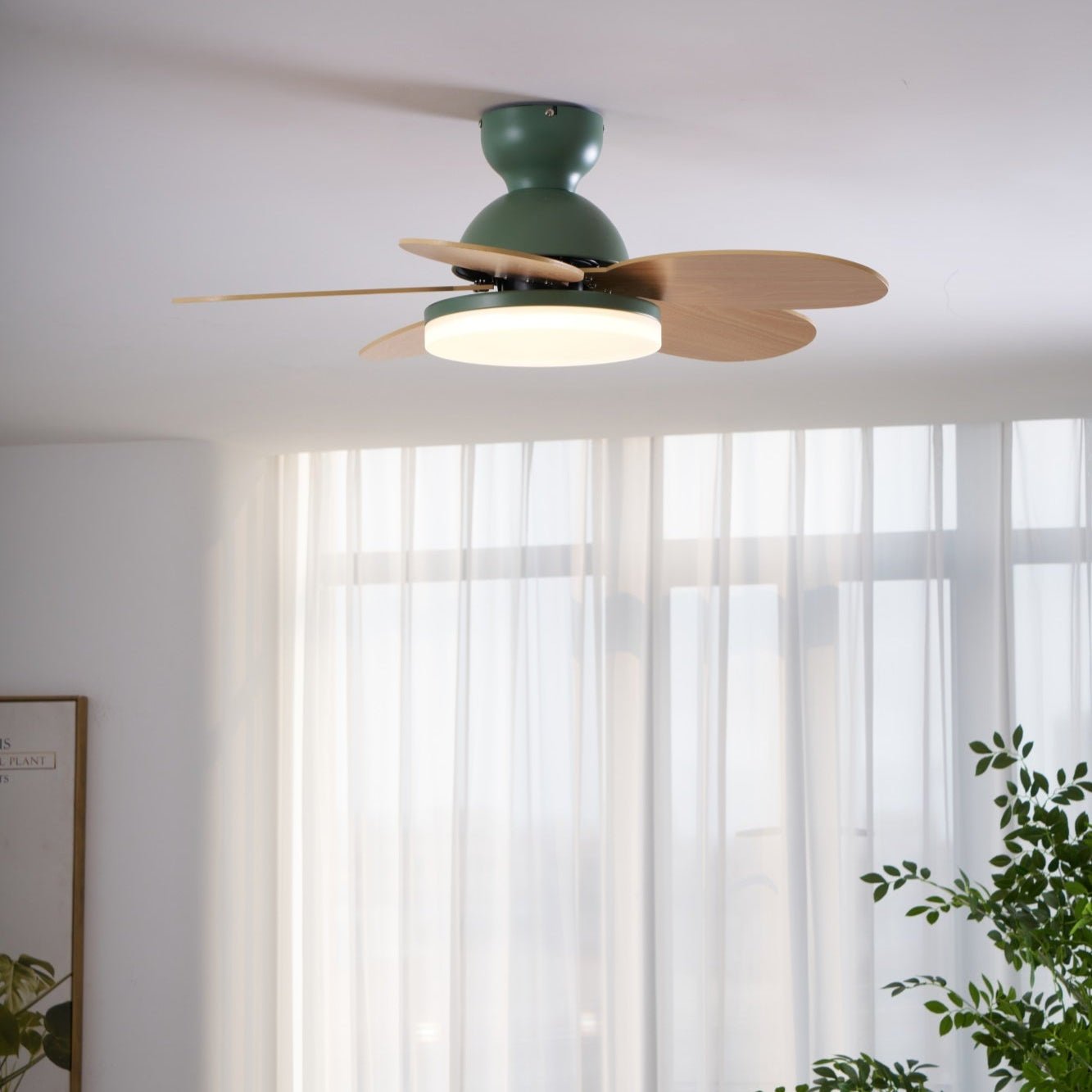 Paledo LED Ceiling Fan