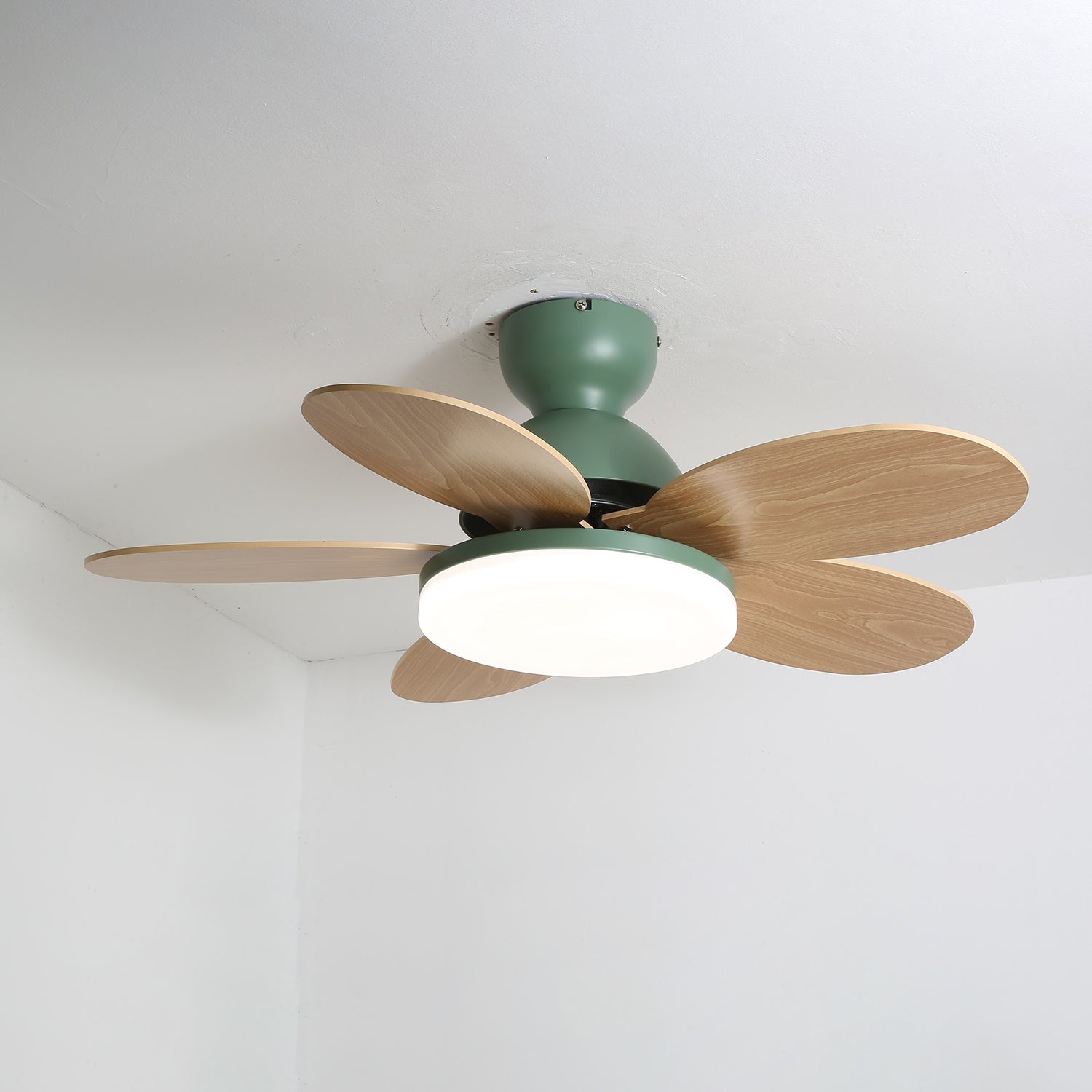 Paledo LED Ceiling Fan