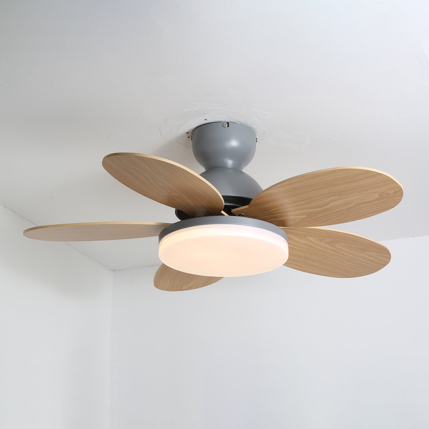 Paledo LED Ceiling Fan