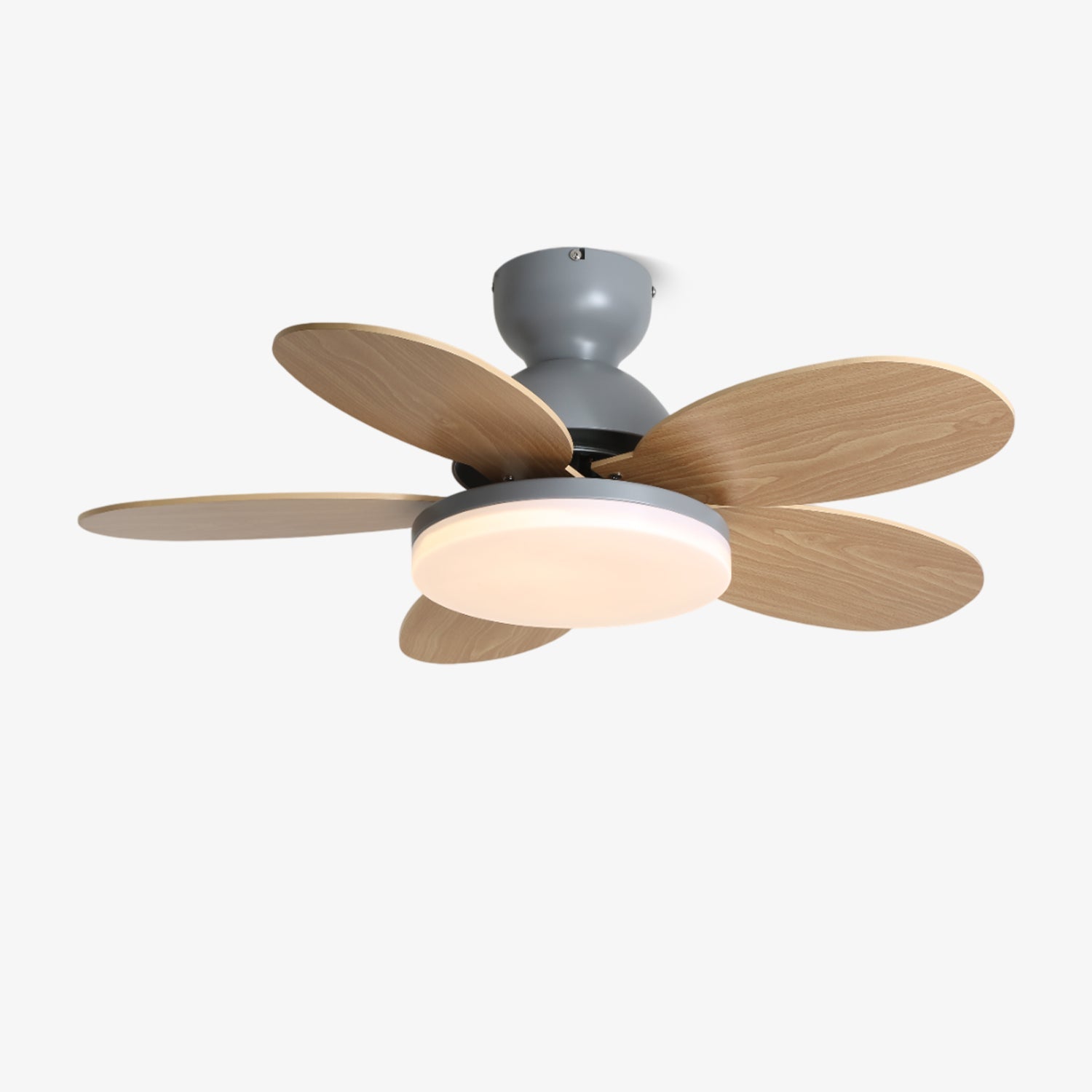 Paledo LED Ceiling Fan
