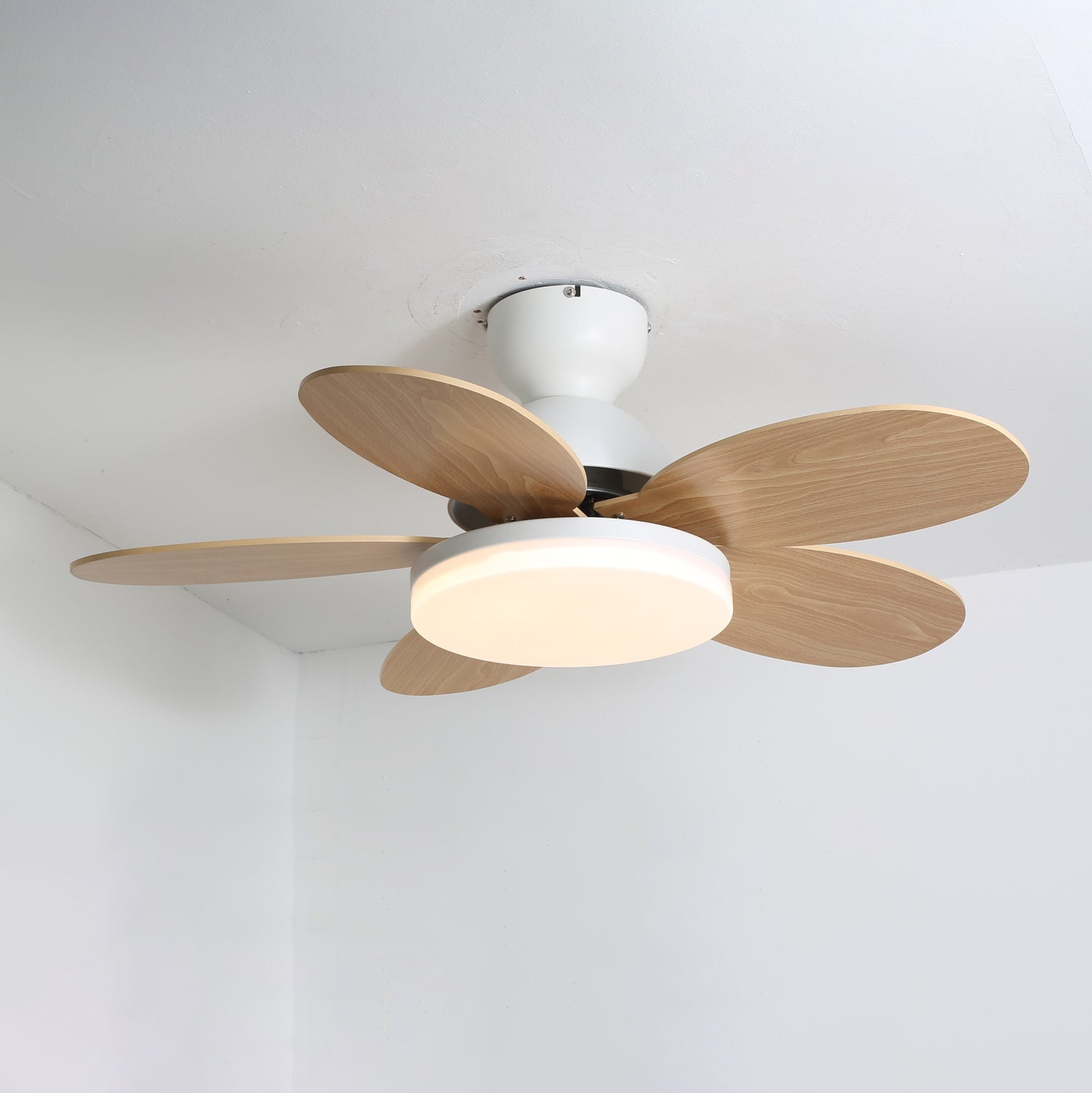 Paledo LED Ceiling Fan