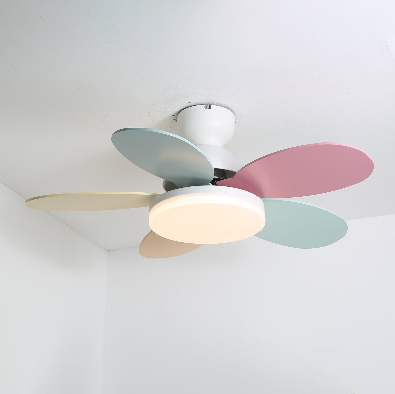 Paledo LED Ceiling Fan