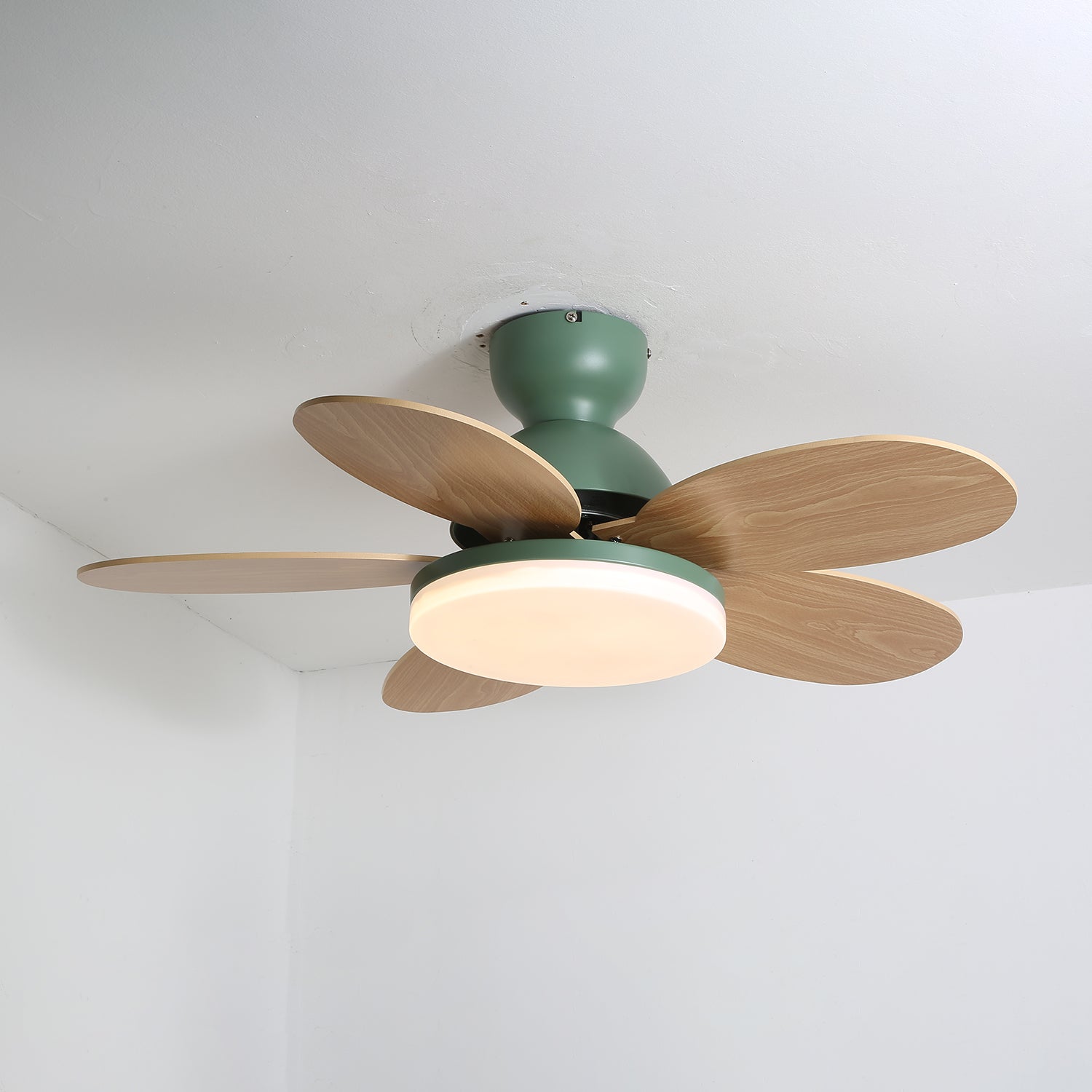 Paledo LED Ceiling Fan