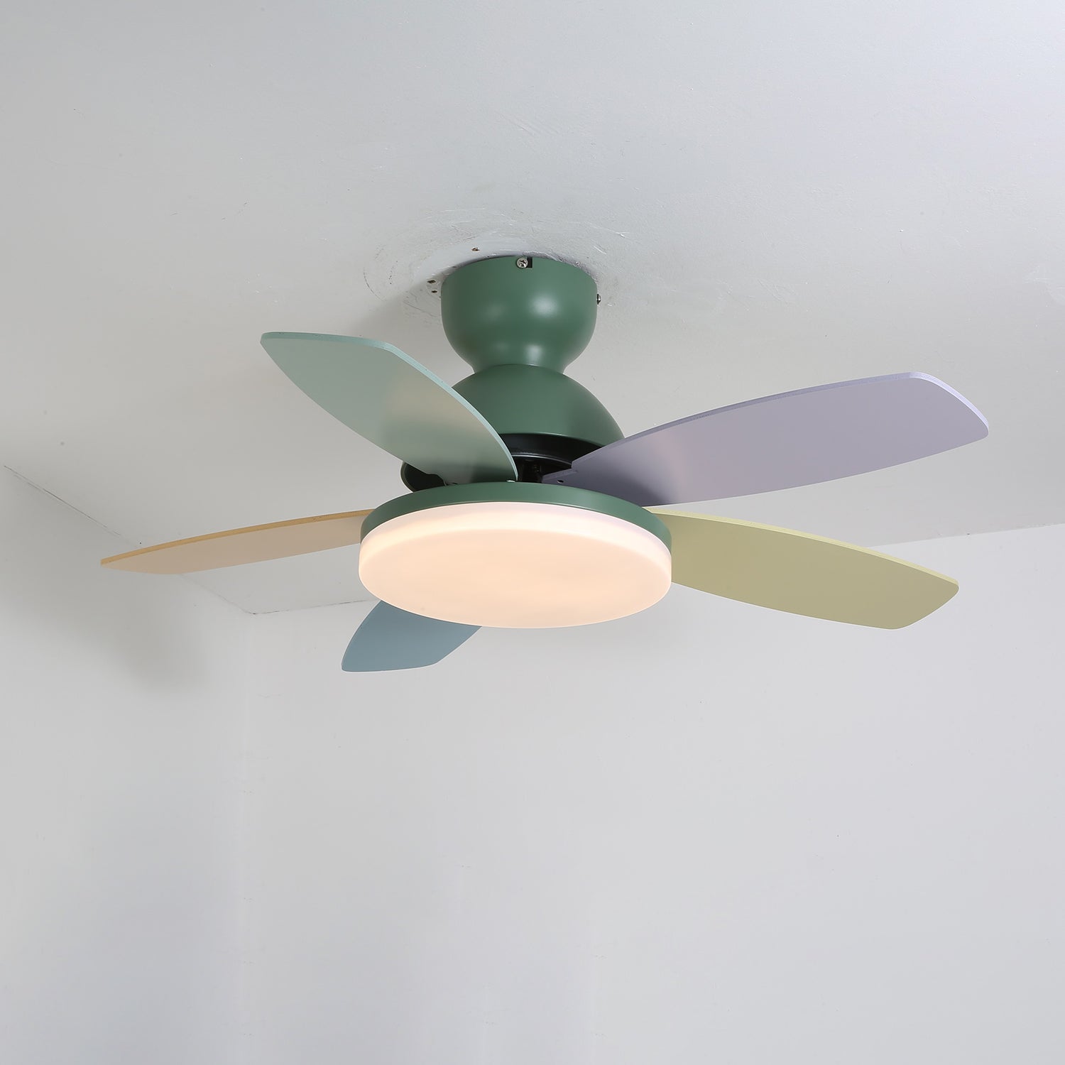 Paledo LED Ceiling Fan