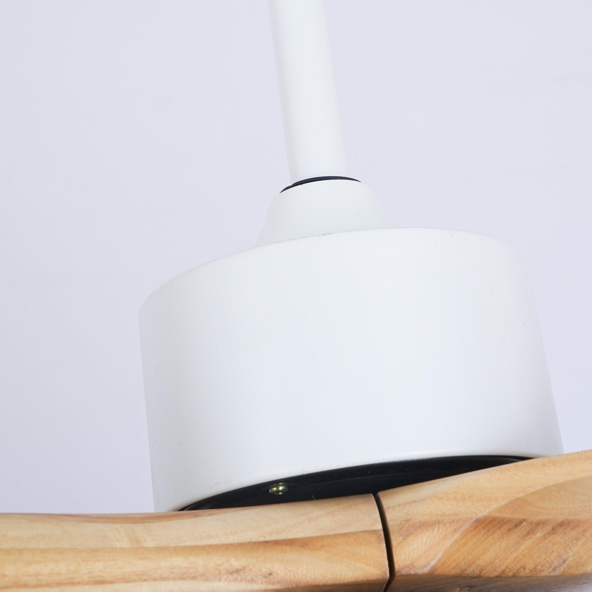 Bardune LED Ceiling Fan