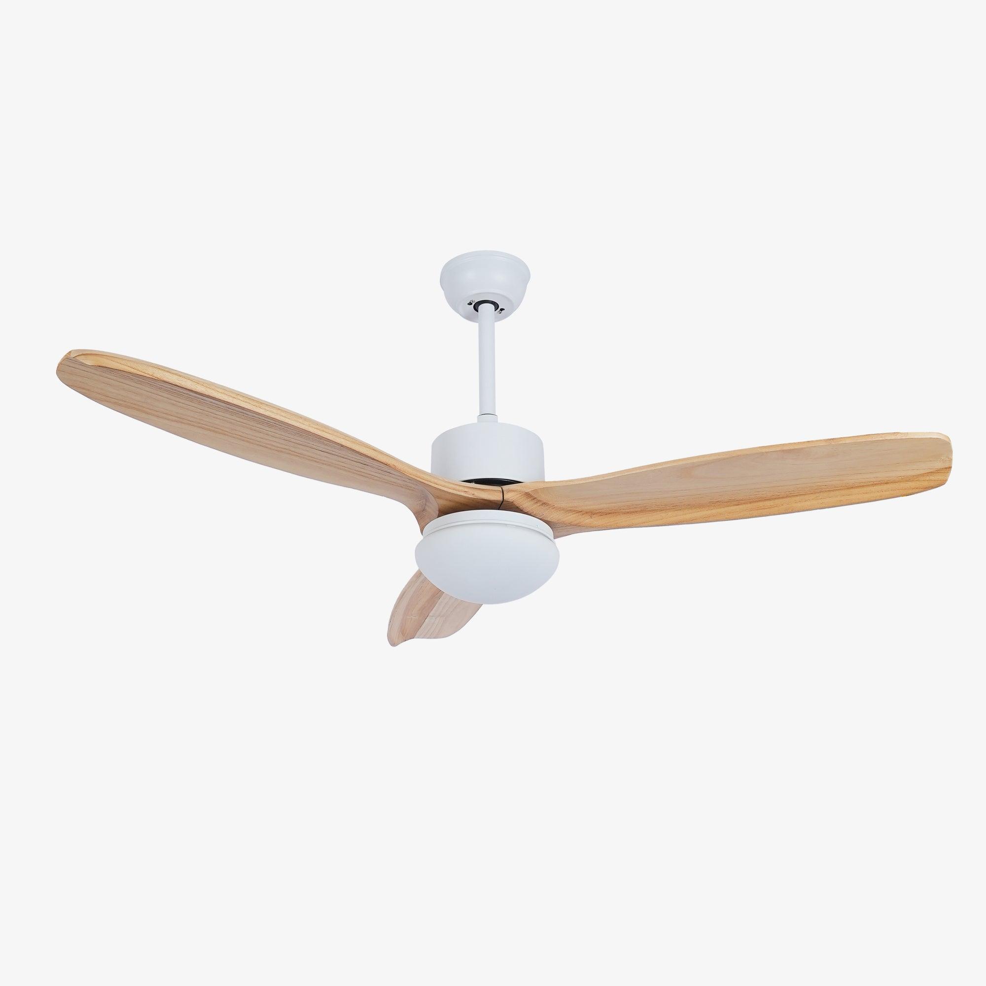 Bardune LED Ceiling Fan
