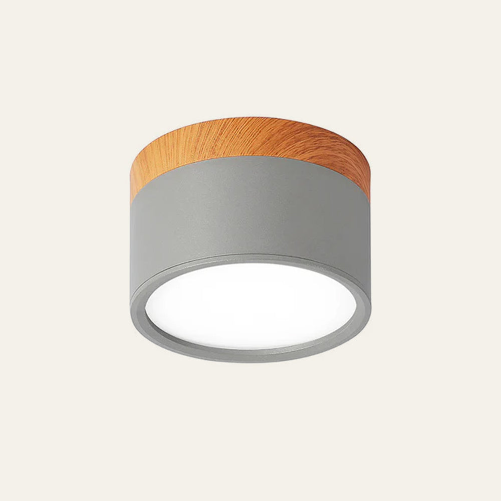 Cylano Small Ceiling Light