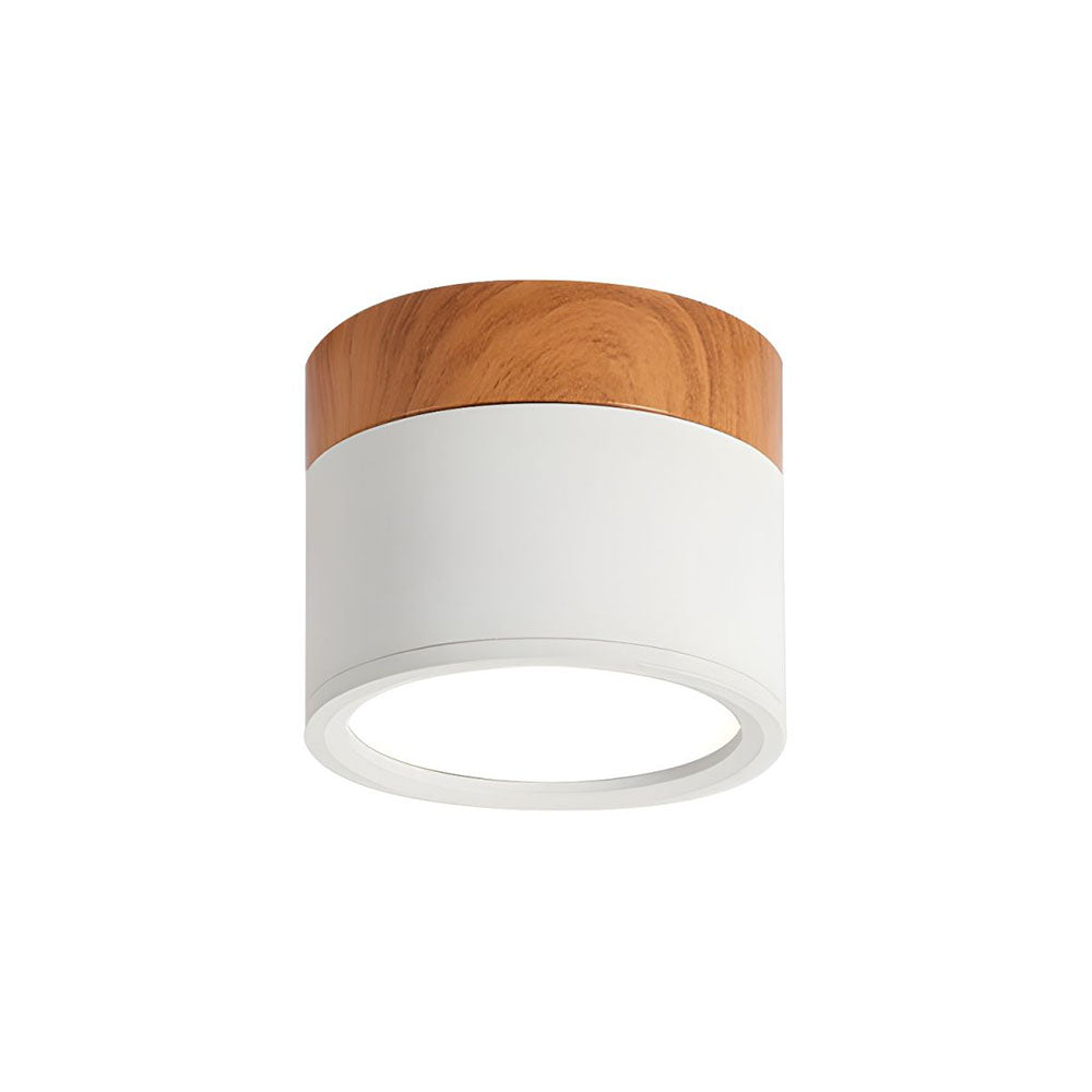Cylano Small Ceiling Light