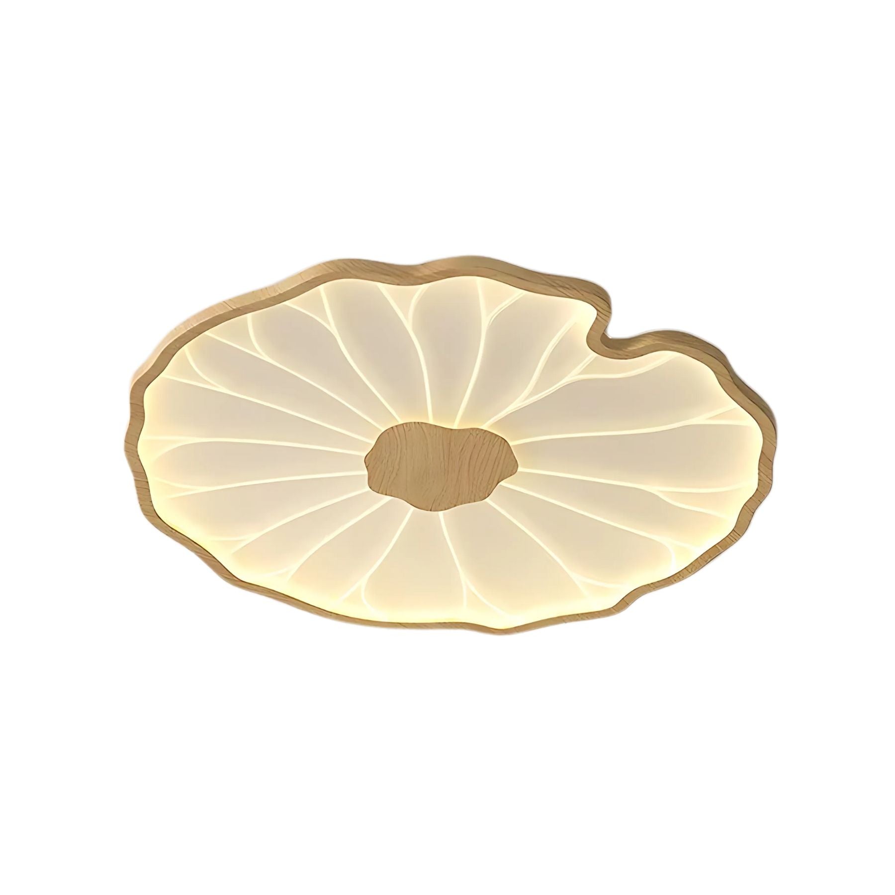 Aviro Leaf Ceiling Light