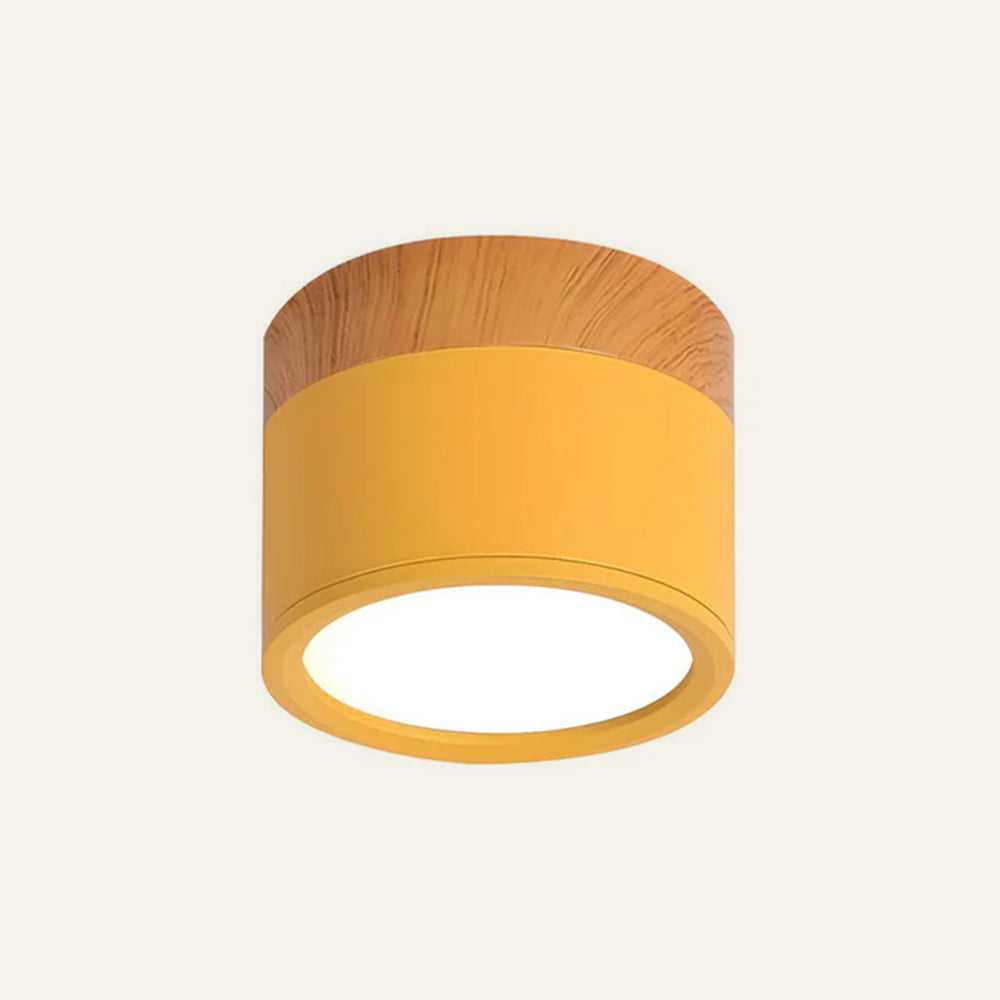 Cylano Small Ceiling Light