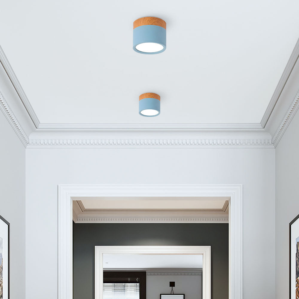 Cylano Small Ceiling Light