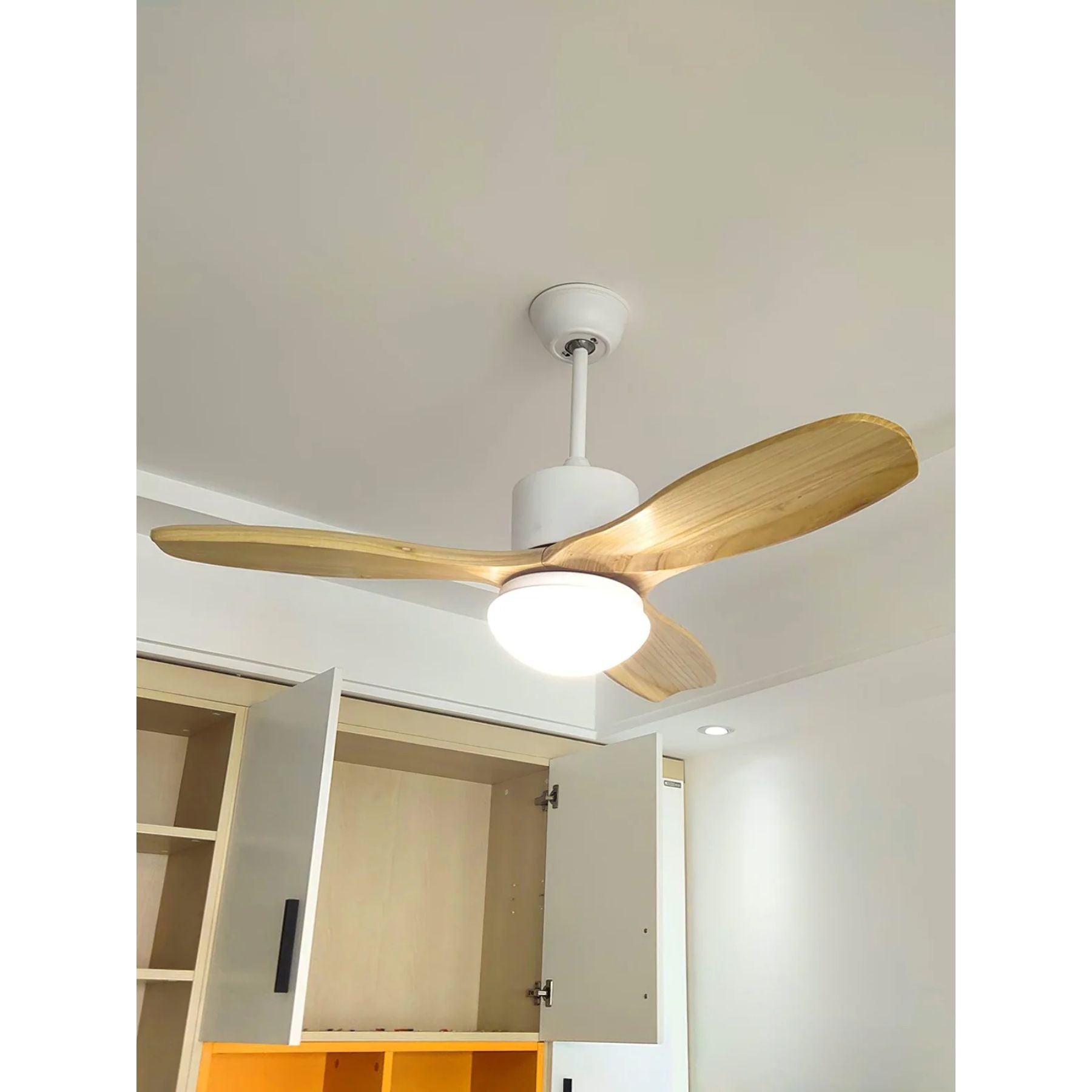 Bardune LED Ceiling Fan