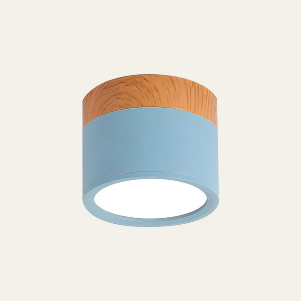 Cylano Small Ceiling Light