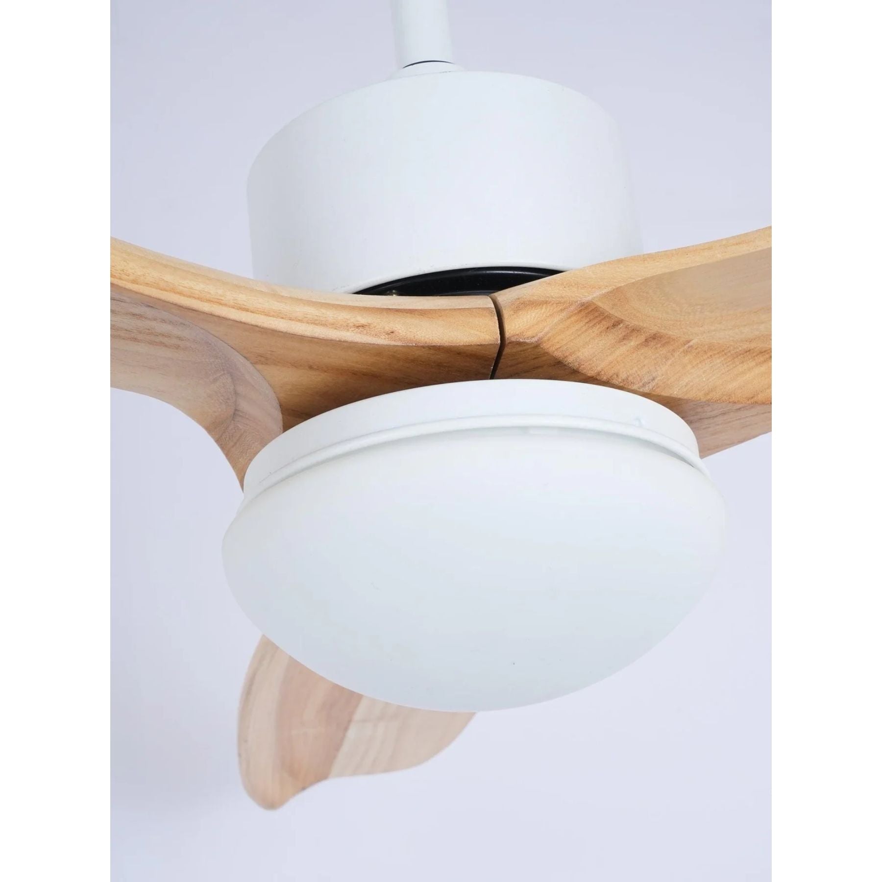 Bardune LED Ceiling Fan