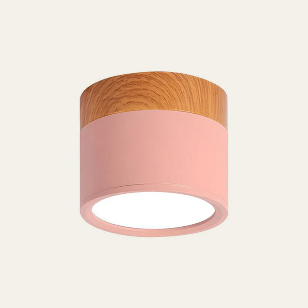 Cylano Small Ceiling Light