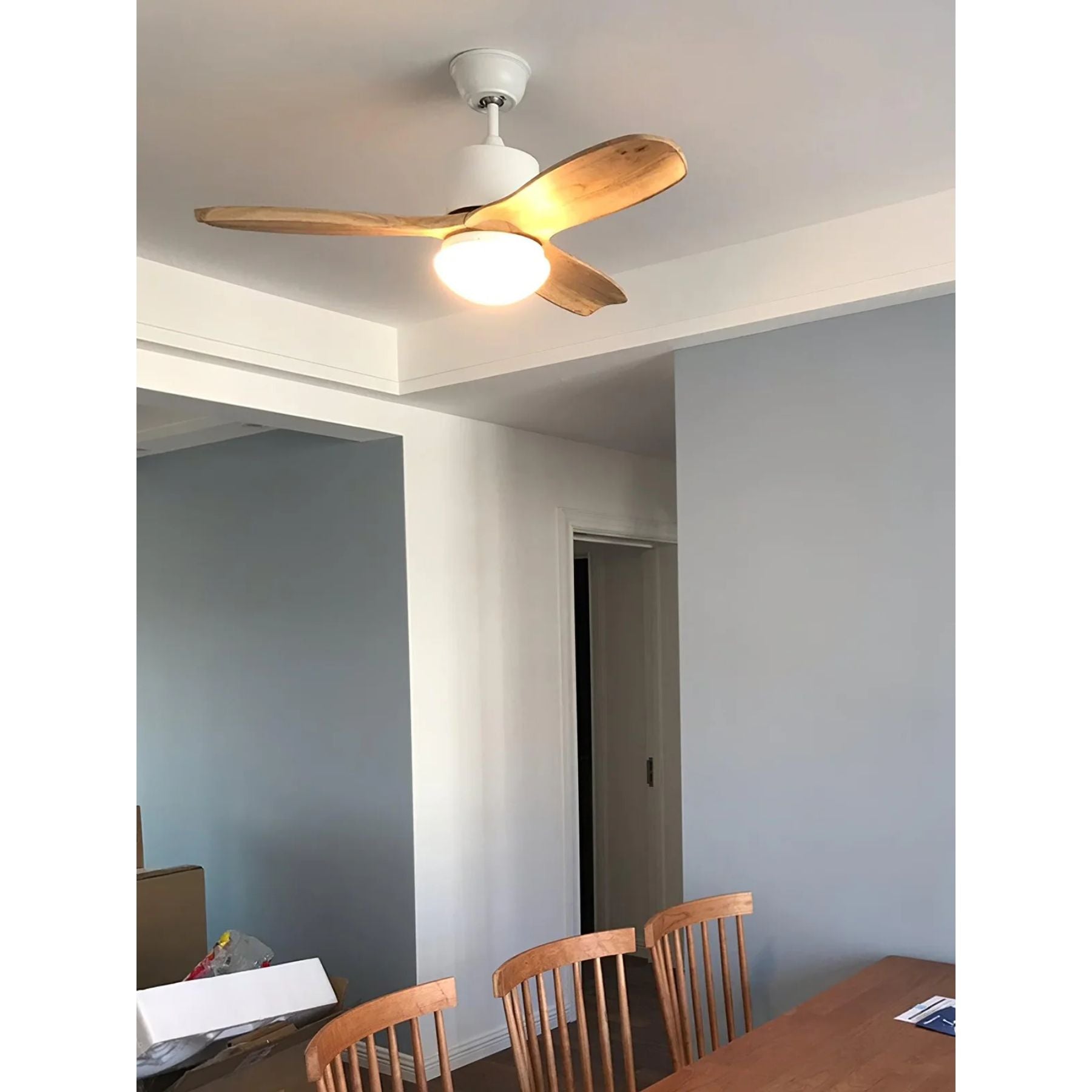 Bardune LED Ceiling Fan