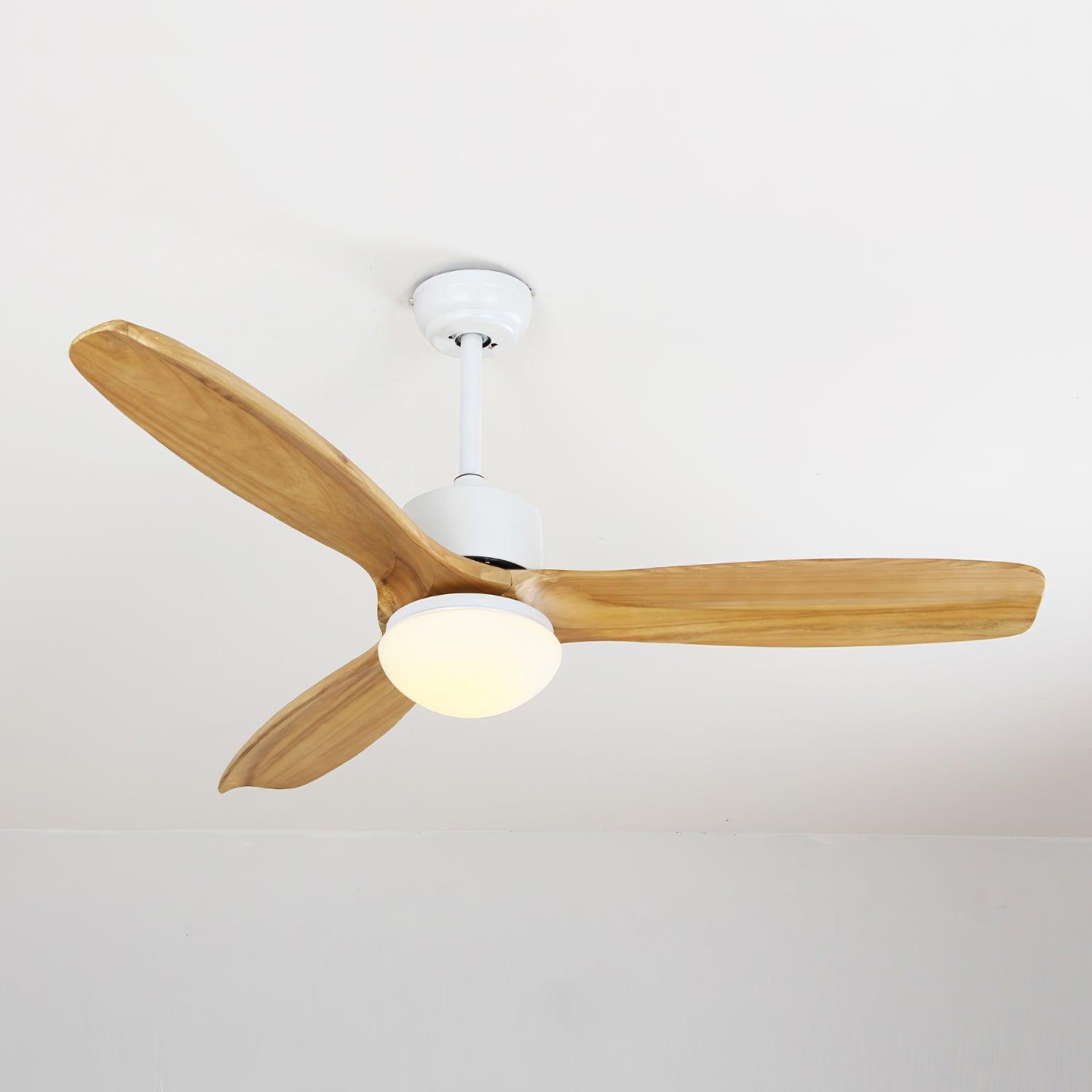Bardune LED Ceiling Fan